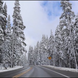 Meet your Posher, Jeanette